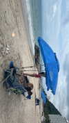 analuvillarreal Altpins Profile Picture