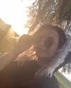 nyyxxii_ Altpins Profile Picture