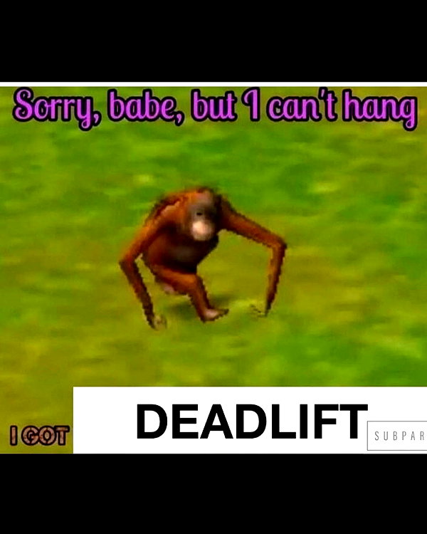 leanbeefpatty instagram image archive image