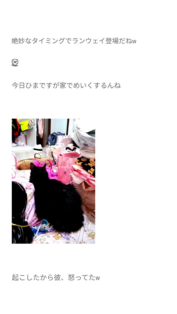 piyokoblog archive image