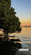 nikoleta.milenova Altpins Profile Picture