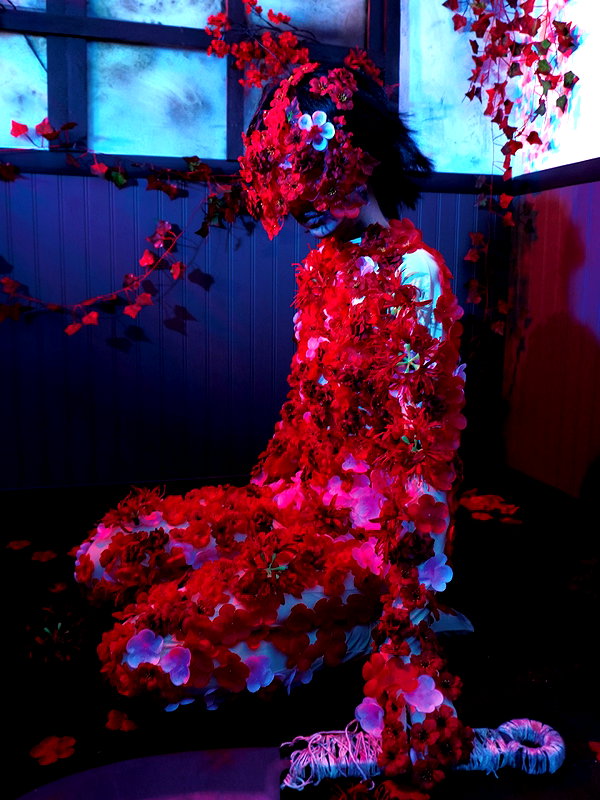 saekkico instagram image archive image