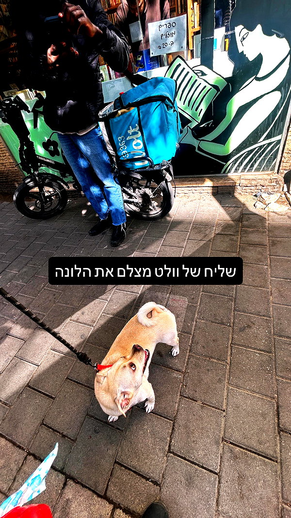 Archived image from @shaipearlman on Instagram