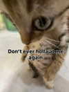 milkibunshehe Altpins Profile Picture