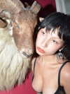 bentevviolet Altpins Profile Picture