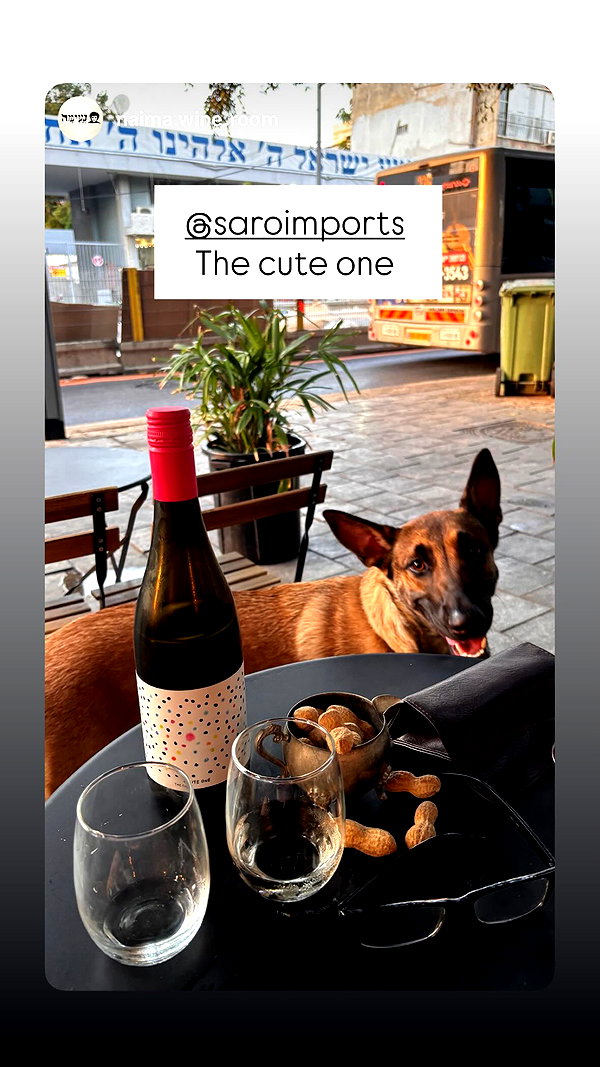 alma.almog instagram image archive image