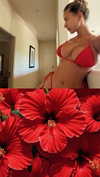 pia__kim Altpins Profile Picture