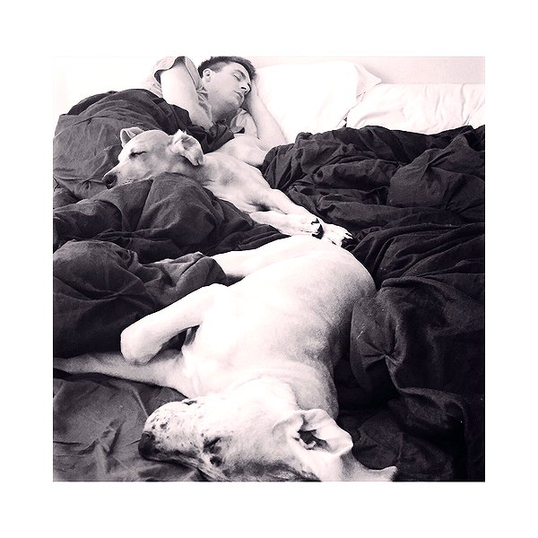sashapieterse instagram image archive image