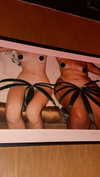 ann.shellll Altpins Profile Picture