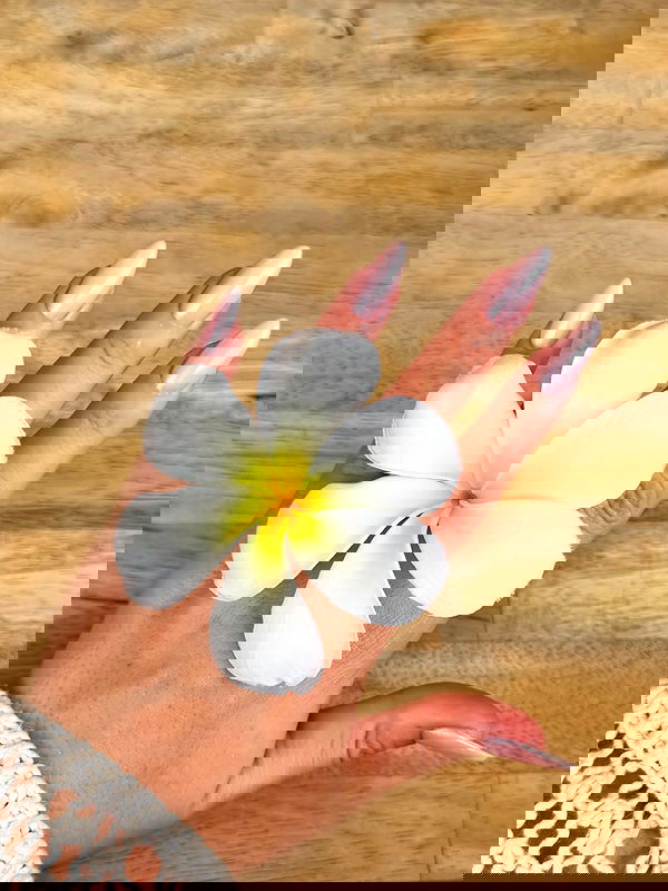 taylor.creeden taylor.creeden archive image