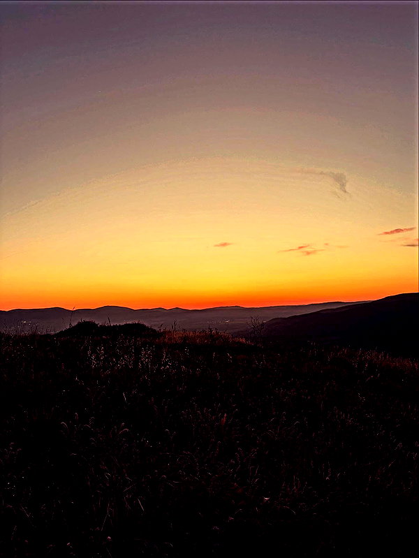 rei.sigalov instagram image archive image