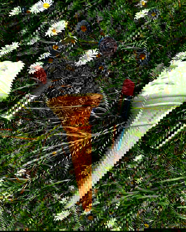 taylor.creeden taylor.creeden archive image