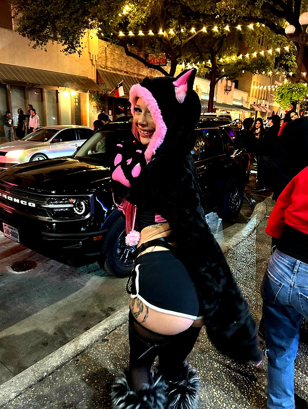 pixelpuppi instagram image archive image