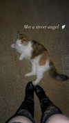 enngravedheart Altpins Profile Picture