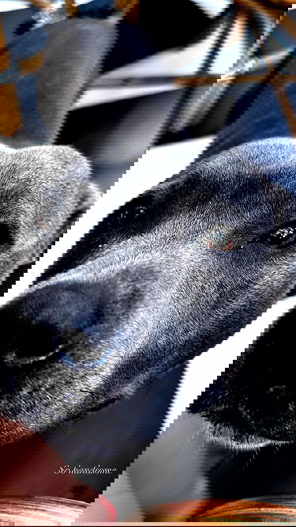 taylor.creeden taylor.creeden archive image