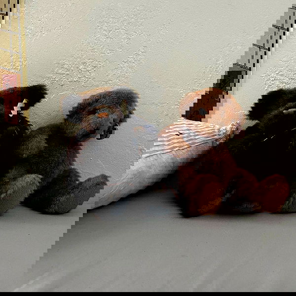 missnyxdawn missnyxdawn archive image