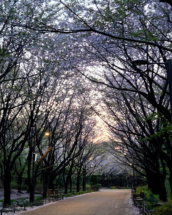zuhazana instagram image archive image