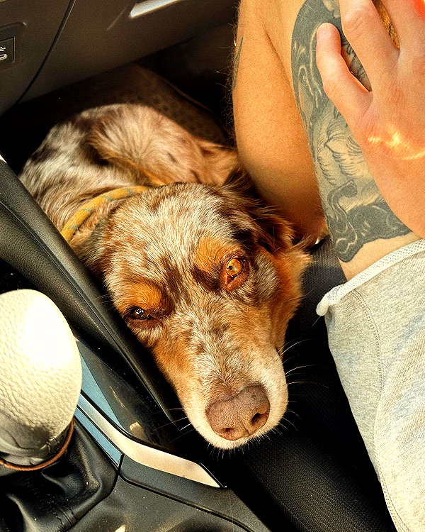 pia__kim instagram image archive image