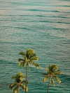 allygravemade Altpins Profile Picture