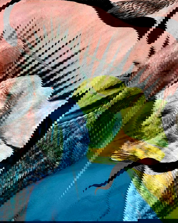 noyaislilith333 noyaislilith333 archive image