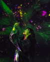 zuhazana Altpins Profile Picture