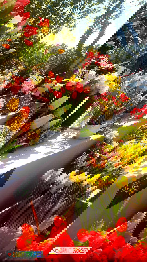 taylor.creeden taylor.creeden archive image