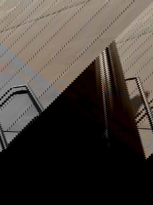 noa_zemlyanski noa_zemlyanski archive image