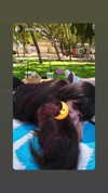 avital_1010.2003 Altpins Profile Picture