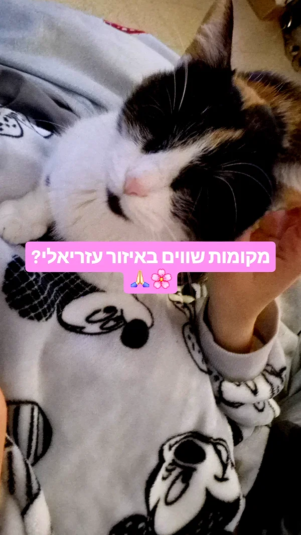ida.trbl instagram image archive image