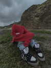 zommmbri Altpins Profile Picture
