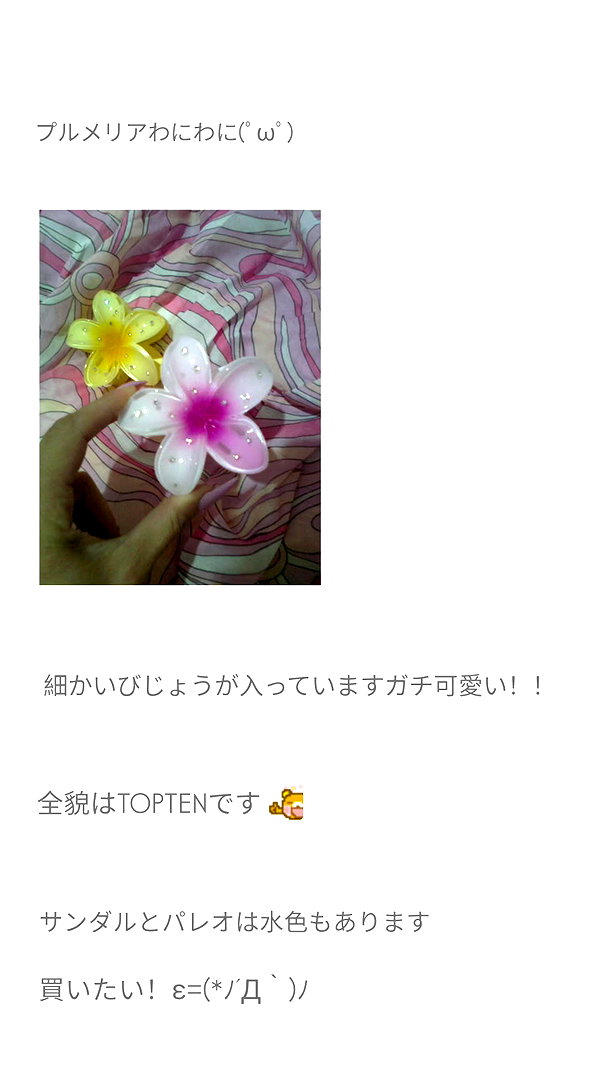 piyokoblog archive image