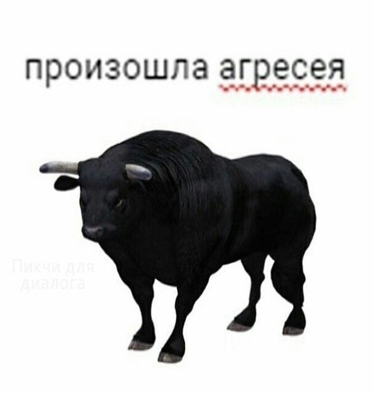 annfigmax instagram image archive image