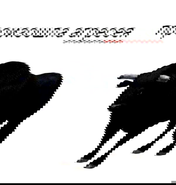 annfigmax image ~ Altpins