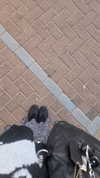 avital_1010.2003 Altpins Profile Picture