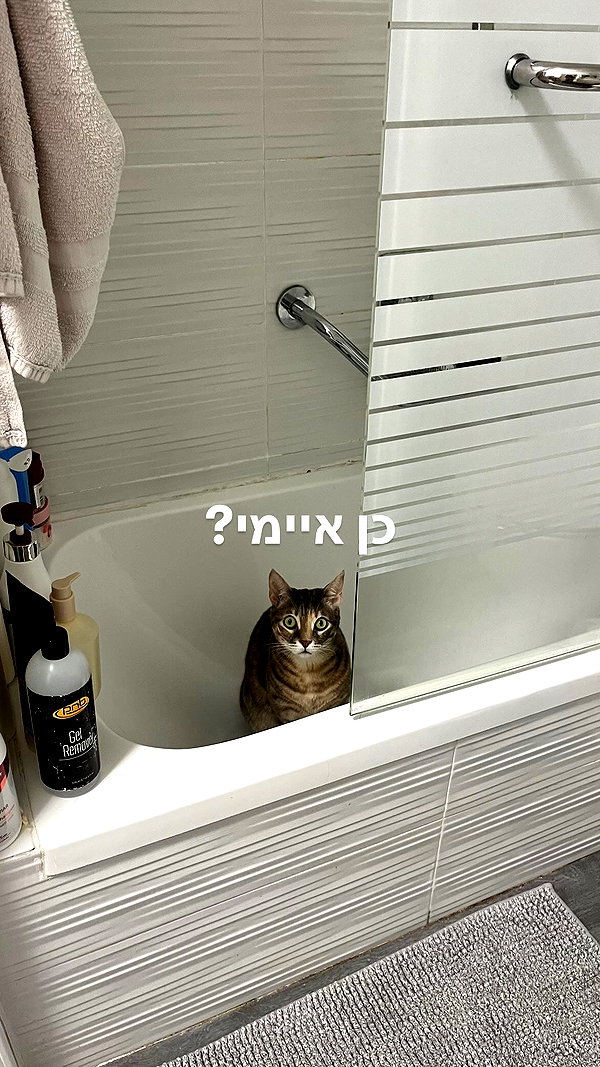 Archived image from @notchicore on Instagram