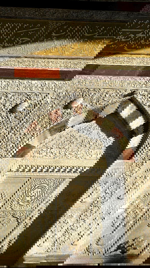 taylor.creeden taylor.creeden archive image