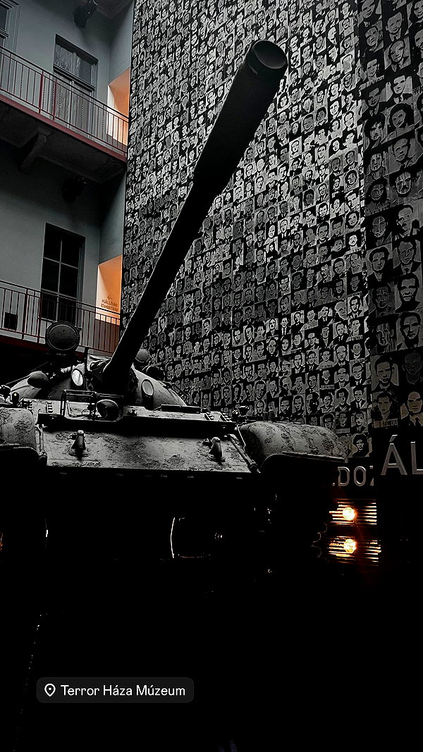 rott3nbambi instagram image archive image