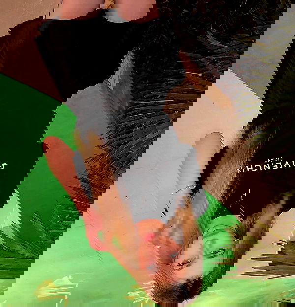 pinx_ir pinx_ir archive image