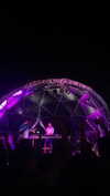 federica.piccinni Altpins Profile Picture