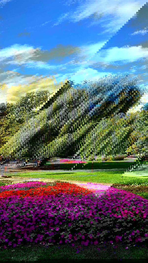 manjolamuriqi manjolamuriqi archive image