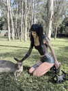 livindeadyaz Altpins Profile Picture