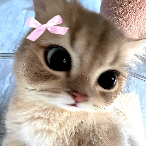 nyxaainaaa_ instagram image archive image