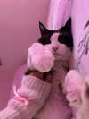 lumaskyee Altpins Profile Picture