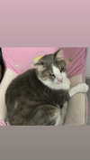dante_yangpa Altpins Profile Picture