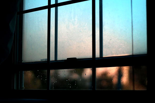 hallucineon instagram image archive image