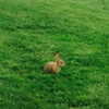 mariahcarey Altpins Profile Picture