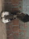 zommmbri Altpins Profile Picture