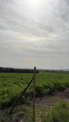 agam__mallka Altpins Profile Picture