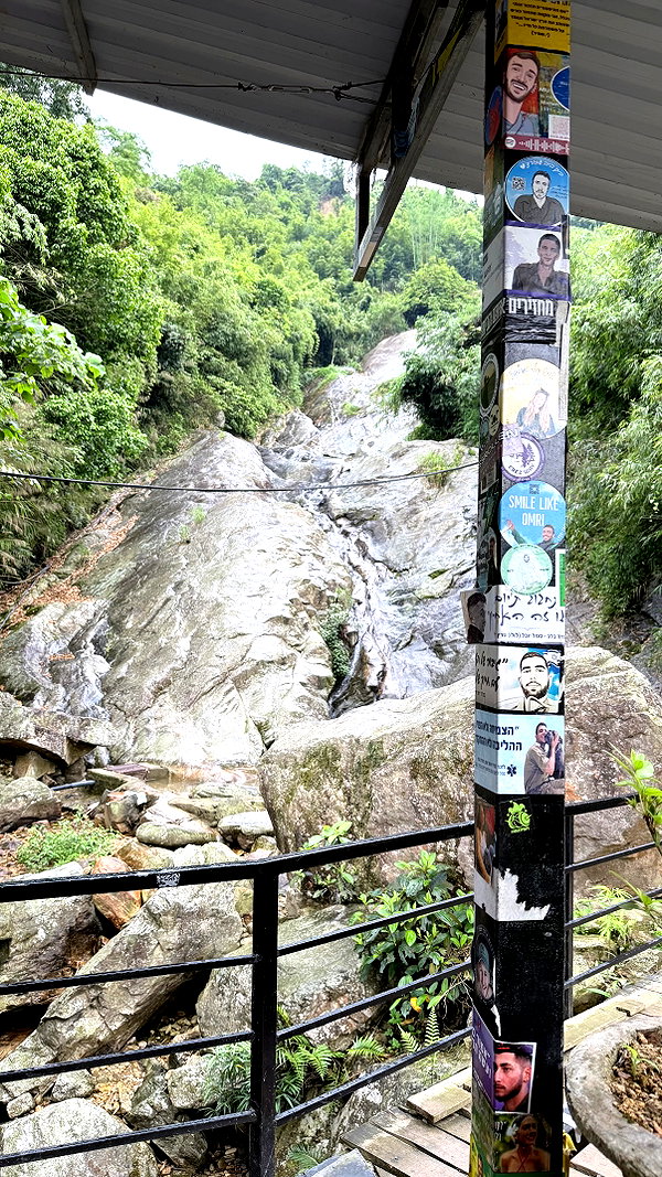 kesemgreenyer instagram image archive image