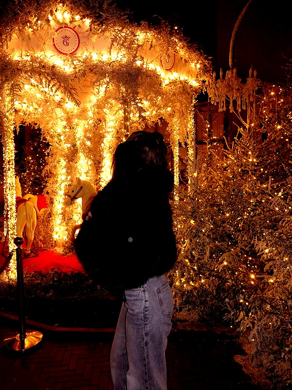 alishevs instagram image archive image